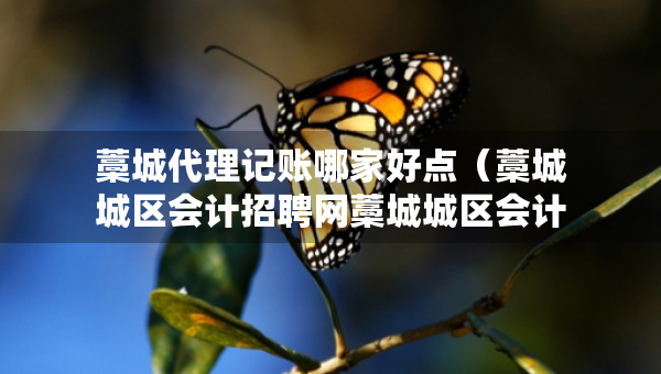 藁城代理記賬哪家好點（藁城城區(qū)會計招聘網(wǎng)藁城城區(qū)會計師招聘信息）