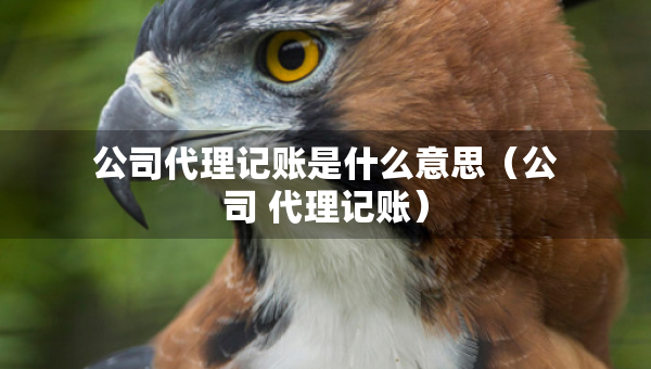 公司代理記賬是什么意思（公司 代理記賬）