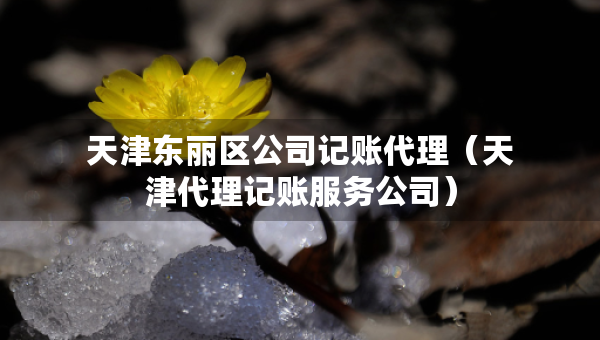 天津東麗區(qū)公司記賬代理（天津代理記賬服務(wù)公司）