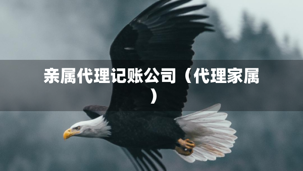 親屬代理記賬公司（代理家屬）