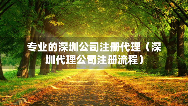 專業(yè)的深圳公司注冊代理（深圳代理公司注冊流程）