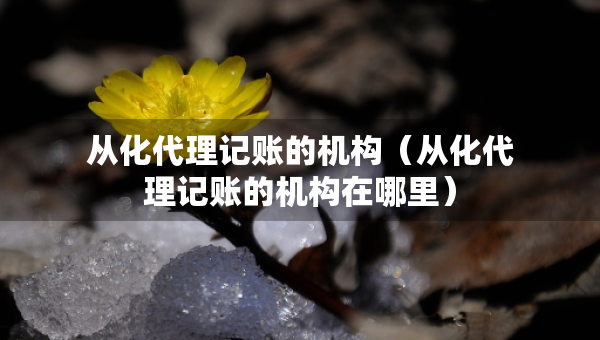 從化代理記賬的機(jī)構(gòu)（從化代理記賬的機(jī)構(gòu)在哪里）