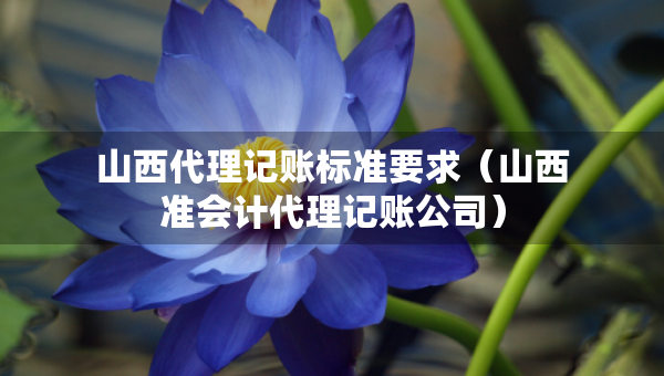 山西代理記賬標(biāo)準(zhǔn)要求（山西準(zhǔn)會計代理記賬公司）