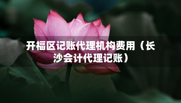 開福區(qū)記賬代理機構(gòu)費用（長沙會計代理記賬）