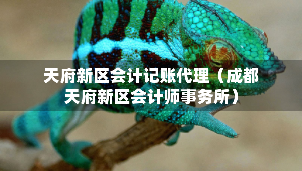 天府新區(qū)會(huì)計(jì)記賬代理（成都天府新區(qū)會(huì)計(jì)師事務(wù)所）