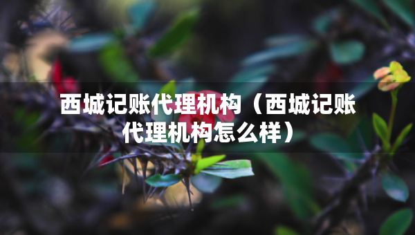 西城記賬代理機(jī)構(gòu)（西城記賬代理機(jī)構(gòu)怎么樣）