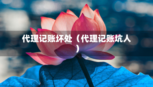 代理記賬壞處（代理記賬坑人）