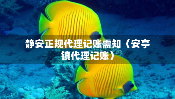 靜安正規(guī)代理記賬需知（安亭鎮(zhèn)代理記賬）