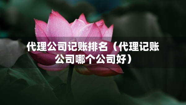代理公司記賬排名（代理記賬公司哪個(gè)公司好）