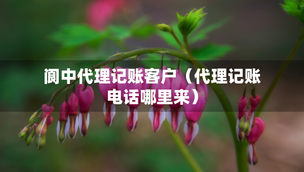閬中代理記賬客戶（代理記賬電話哪里來(lái)）