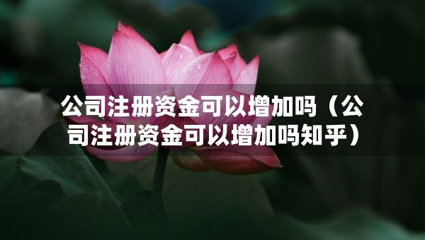 公司注冊(cè)資金可以增加嗎（公司注冊(cè)資金可以增加嗎知乎）