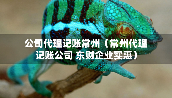 公司代理記賬常州（常州代理記賬公司 東財(cái)企業(yè)實(shí)惠）