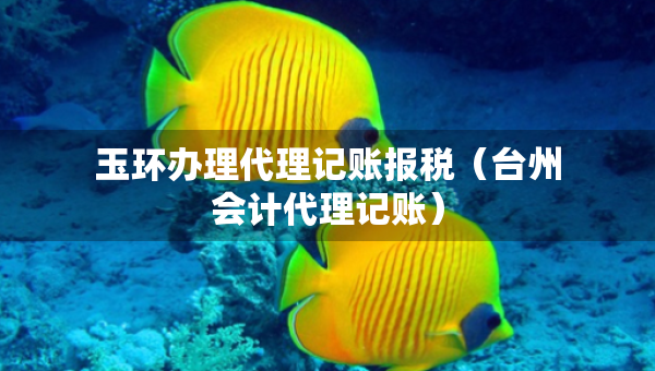 玉環(huán)辦理代理記賬報稅（臺州會計代理記賬）