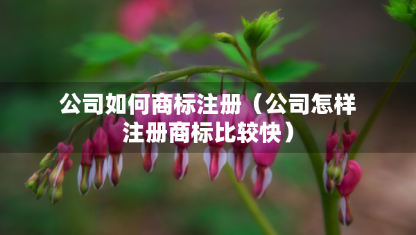 公司如何商標(biāo)注冊(cè)（公司怎樣注冊(cè)商標(biāo)比較快）