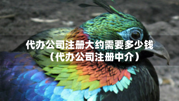 代辦公司注冊大約需要多少錢（代辦公司注冊中介）