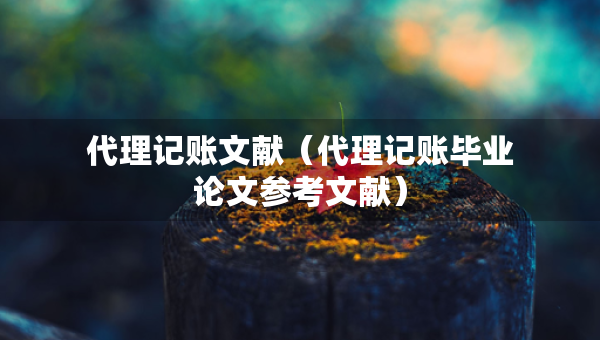 代理記賬文獻(xiàn)（代理記賬畢業(yè)論文參考文獻(xiàn)）