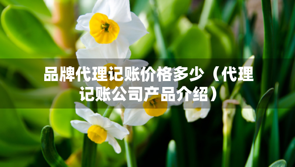 品牌代理記賬價格多少（代理記賬公司產(chǎn)品介紹）