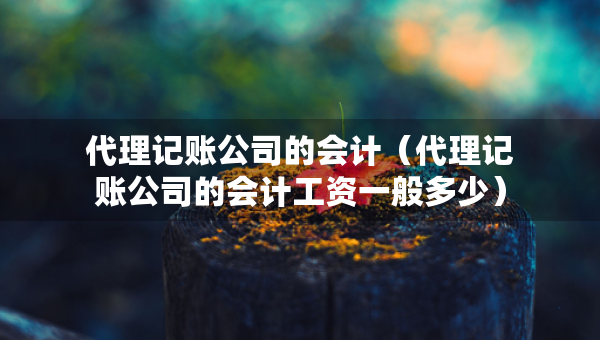 代理記賬公司的會計（代理記賬公司的會計工資一般多少）