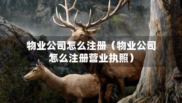 物業(yè)公司怎么注冊(cè)（物業(yè)公司怎么注冊(cè)營(yíng)業(yè)執(zhí)照）