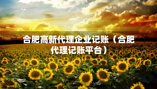合肥高新代理企業(yè)記賬（合肥代理記賬平臺(tái)）
