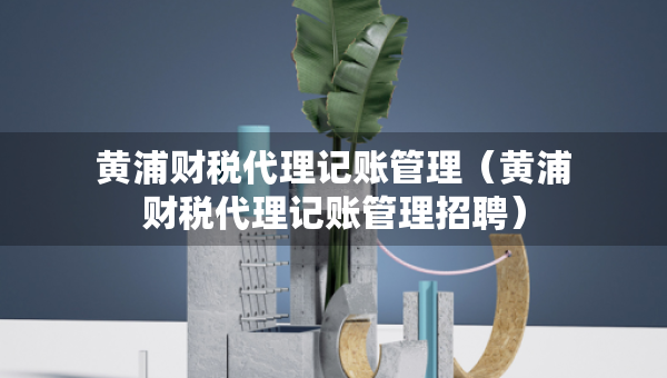 黃浦財稅代理記賬管理（黃浦財稅代理記賬管理招聘）