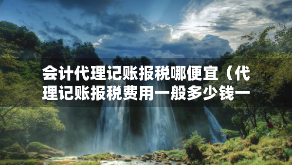 會(huì)計(jì)代理記賬報(bào)稅哪便宜（代理記賬報(bào)稅費(fèi)用一般多少錢一個(gè)月）
