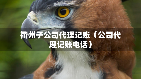 衢州子公司代理記賬（公司代理記賬電話）