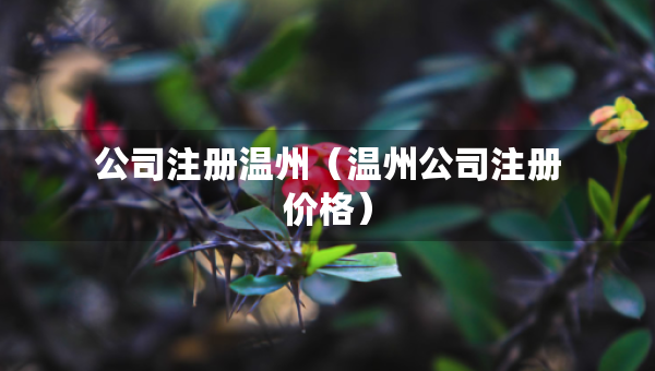 公司注冊溫州（溫州公司注冊價格）