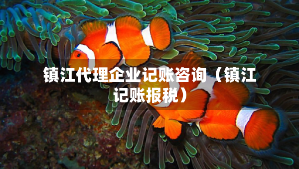 鎮(zhèn)江代理企業(yè)記賬咨詢（鎮(zhèn)江記賬報(bào)稅）