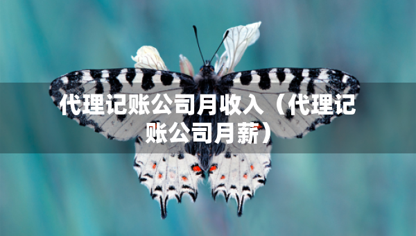 代理記賬公司月收入（代理記賬公司月薪）