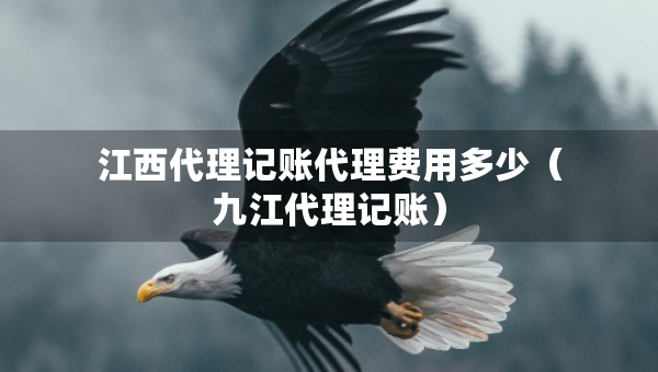 江西代理記賬代理費(fèi)用多少（九江代理記賬）