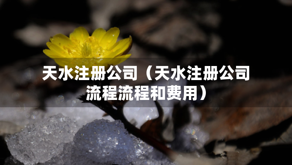 天水注冊公司（天水注冊公司流程流程和費用）