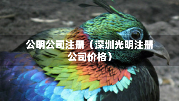 公明公司注冊（深圳光明注冊公司價(jià)格）