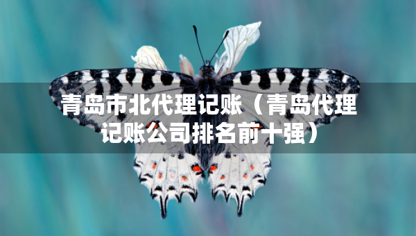 青島市北代理記賬（青島代理記賬公司排名前十強(qiáng)）