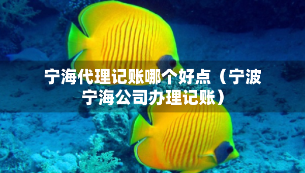 寧海代理記賬哪個好點(diǎn)（寧波寧海公司辦理記賬）
