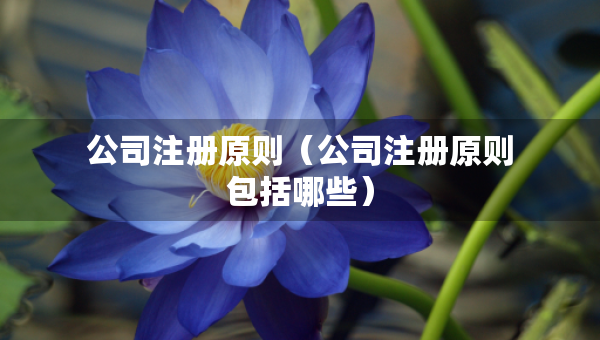 公司注冊(cè)原則（公司注冊(cè)原則包括哪些）