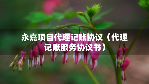 永嘉項目代理記賬協(xié)議（代理記賬服務(wù)協(xié)議書）