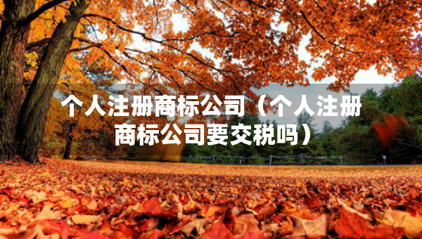 個人注冊商標(biāo)公司（個人注冊商標(biāo)公司要交稅嗎）