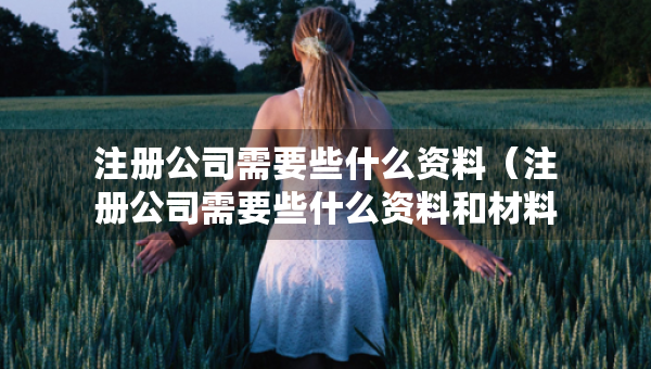 注冊公司需要些什么資料（注冊公司需要些什么資料和材料）