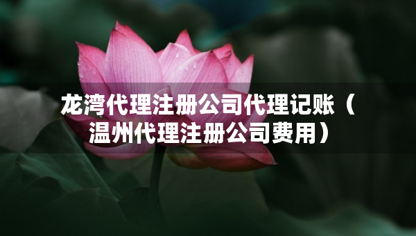 龍灣代理注冊(cè)公司代理記賬（溫州代理注冊(cè)公司費(fèi)用）