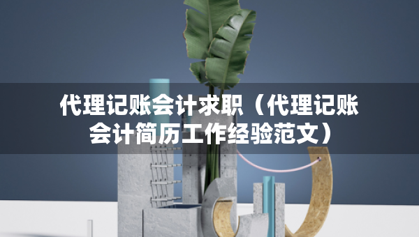 代理記賬會(huì)計(jì)求職（代理記賬會(huì)計(jì)簡(jiǎn)歷工作經(jīng)驗(yàn)范文）