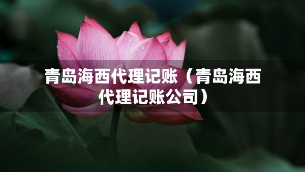 青島海西代理記賬（青島海西代理記賬公司）