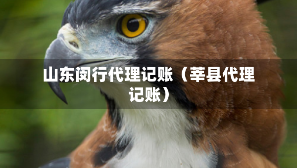 山東閔行代理記賬（莘縣代理記賬）