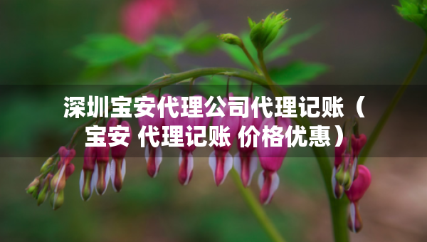深圳寶安代理公司代理記賬（寶安 代理記賬 價格優(yōu)惠）
