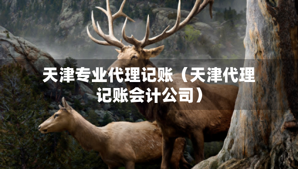 天津?qū)I(yè)代理記賬（天津代理記賬會計公司）