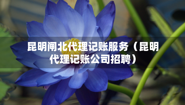 昆明閘北代理記賬服務（昆明代理記賬公司招聘）