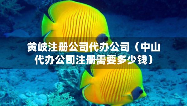 黃岐注冊公司代辦公司（中山代辦公司注冊需要多少錢）
