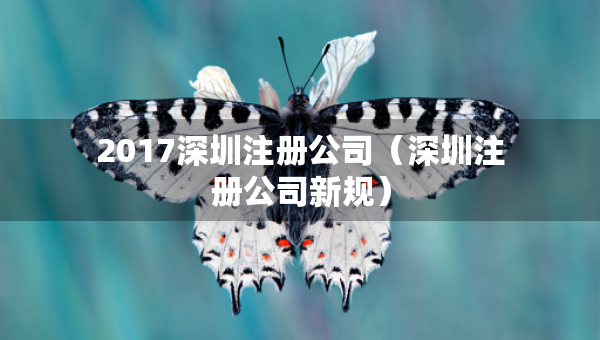 2017深圳注冊公司（深圳注冊公司新規(guī)）