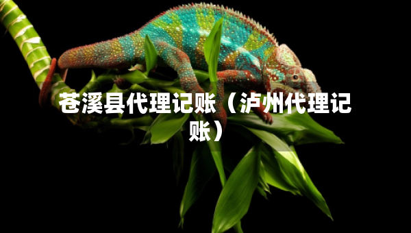 蒼溪縣代理記賬（瀘州代理記賬）