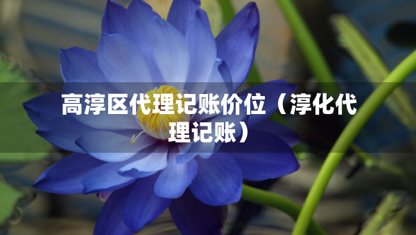 高淳區(qū)代理記賬價位（淳化代理記賬）